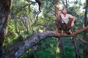 arborists